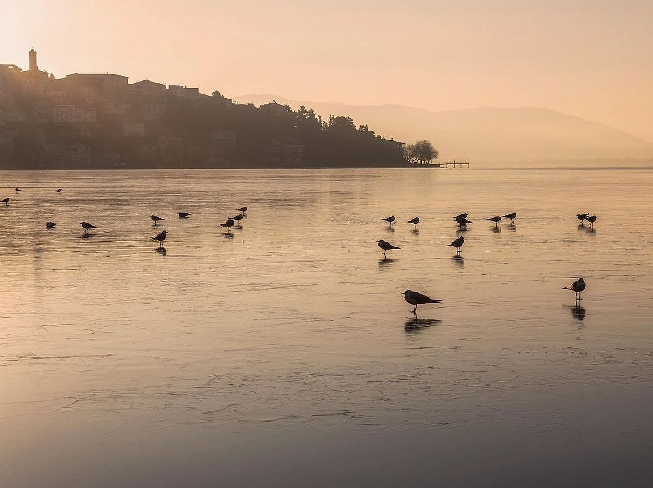 Uma linha de costa vista na primeira luz do amanhecer